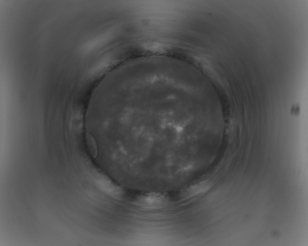 X0000092010466200709271533