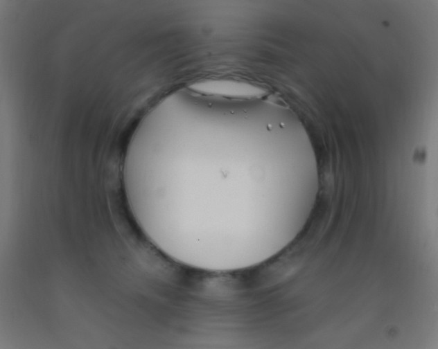 X0000092010468200709271533