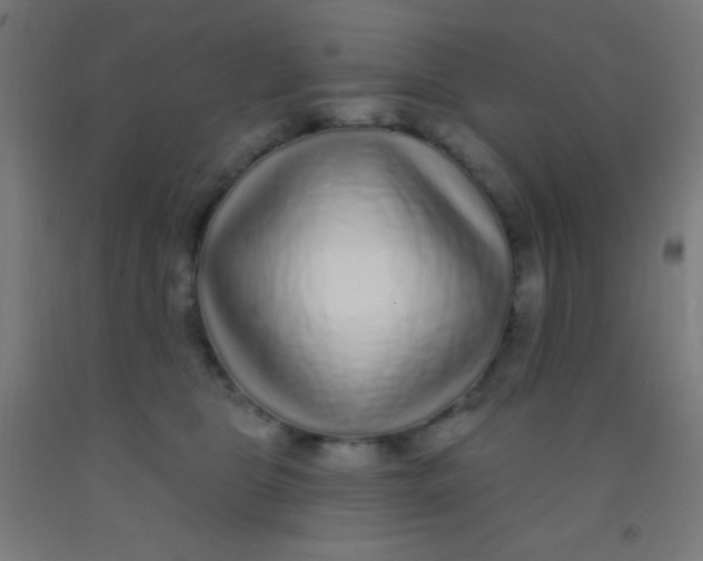 X0000092010469200709271533