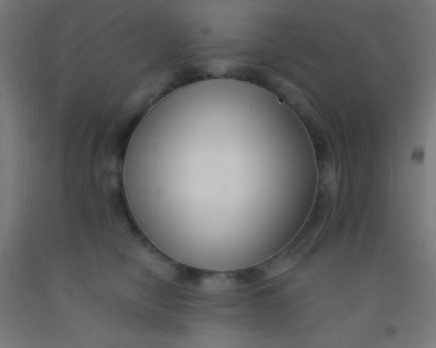 X0000092010470200709271533