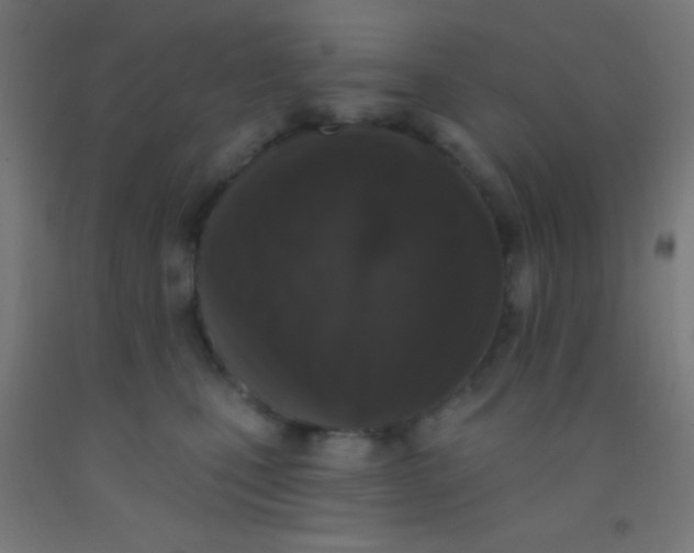 X0000092010471200709271533