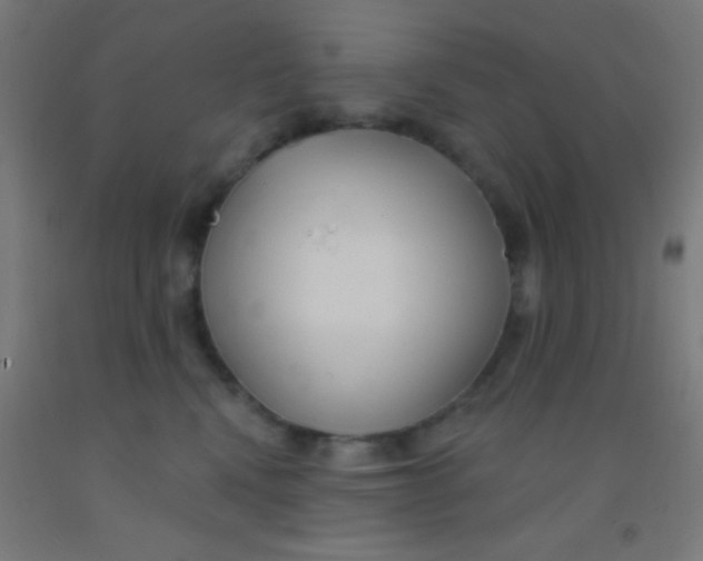 X0000092010472200709271533