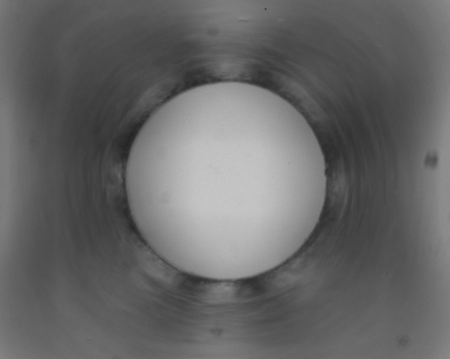 X0000092010473200709271533