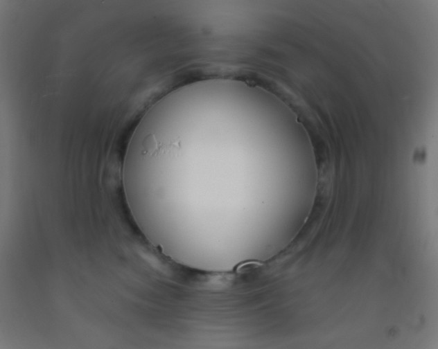 X0000092010474200709271533