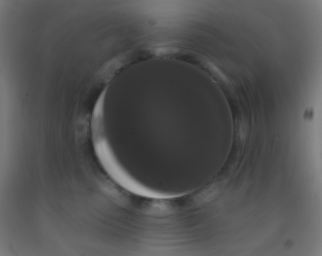 X0000092010475200709271533