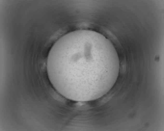 X0000092010477200709271533