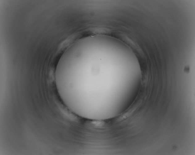 X0000092010478200709271533