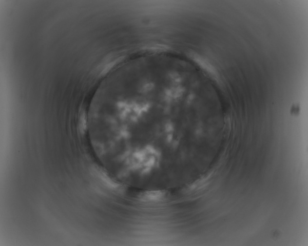 X0000092010479200709271533