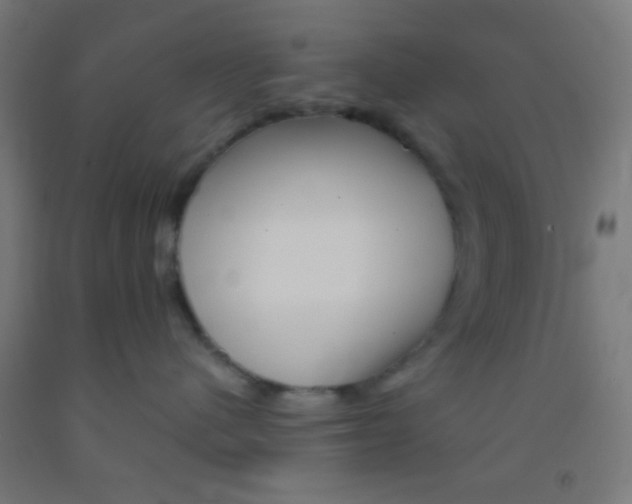 X0000092010480200709271533