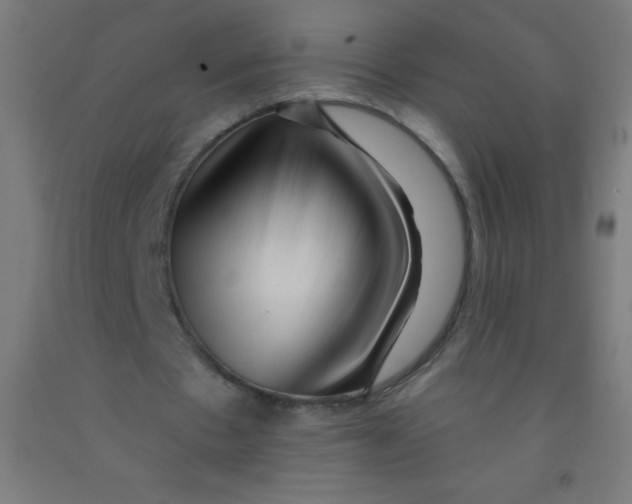 X0000092010481200709271532