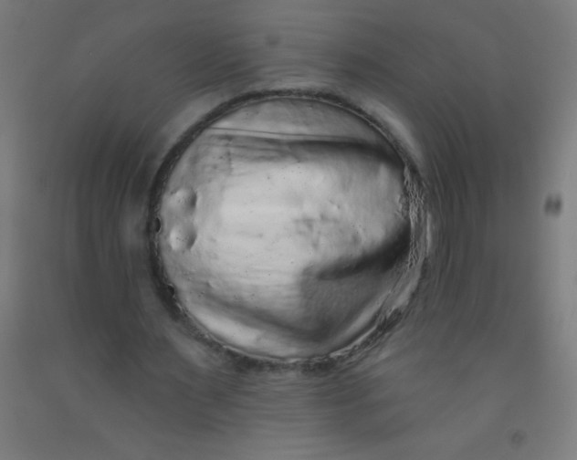 X0000092010483200709271532