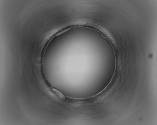 X0000092010485200709271532