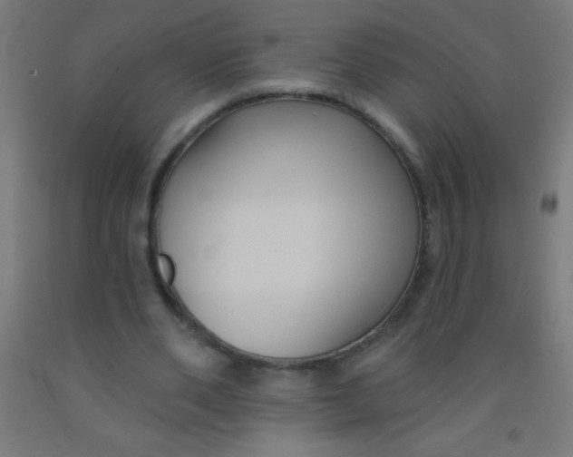 X0000092010486200709271532