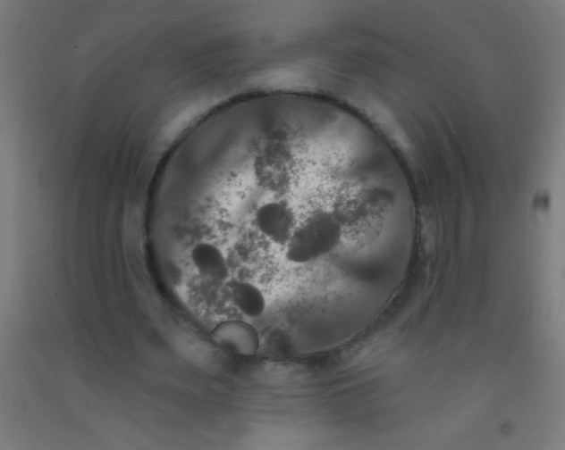 X0000092010487200709271532