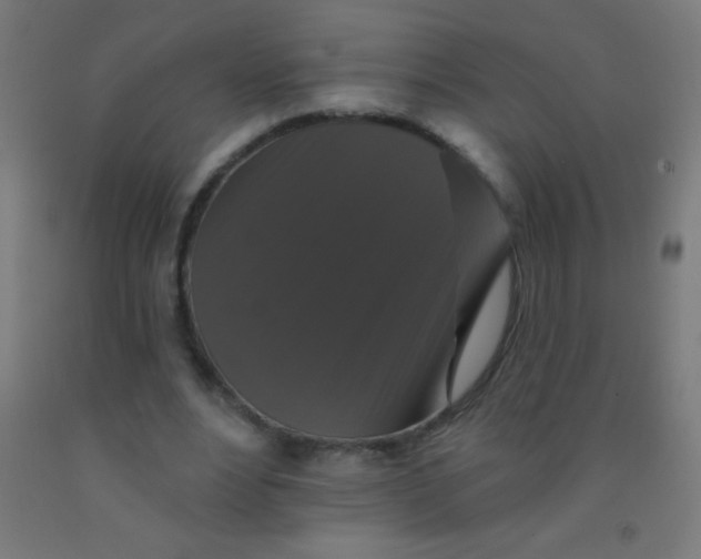 X0000092010488200709271532