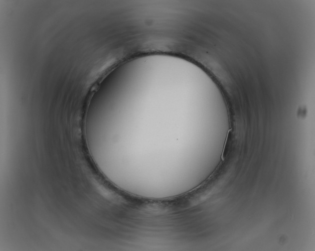 X0000092010489200709271532