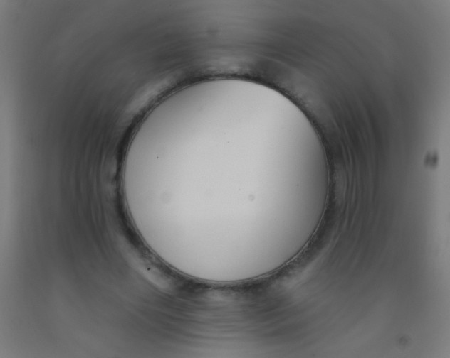 X0000092010490200709271532