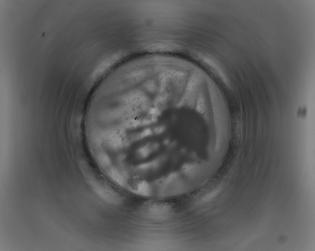 X0000092010491200709271532