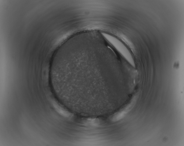 X0000092010493200709271532