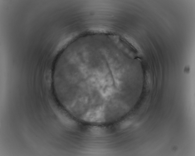 X0000092010494200709271532