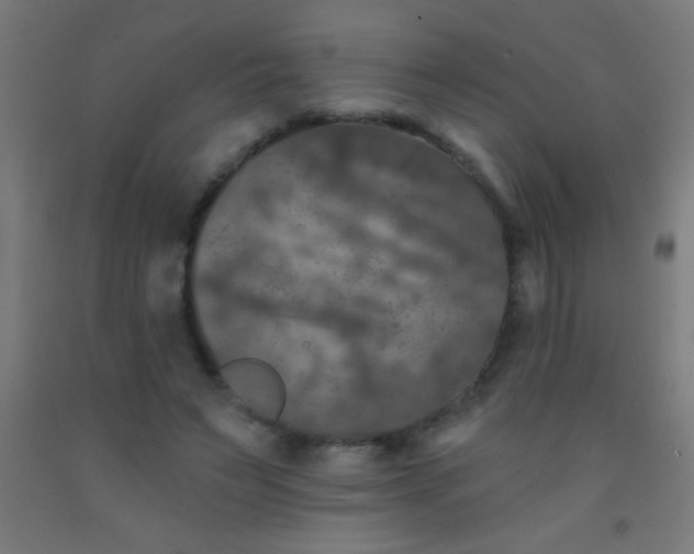 X0000092010495200709271532