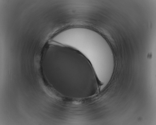 X0000092010496200709271532