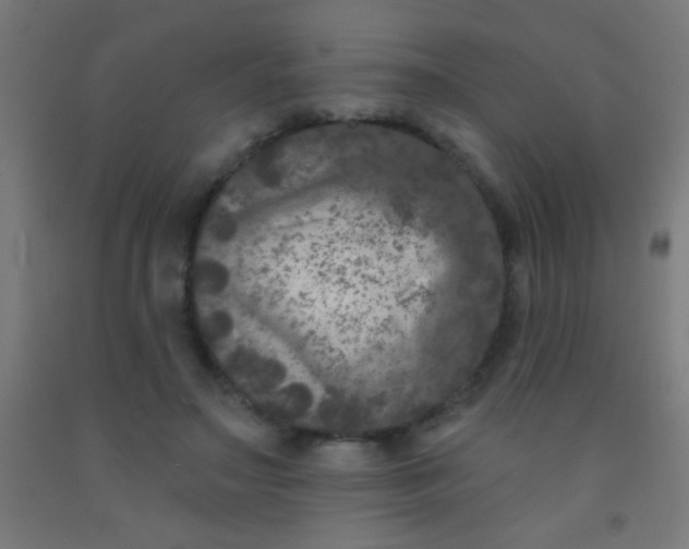 X0000092010499200709271532