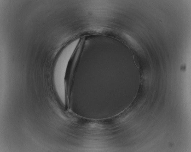 X0000092010500200709271532