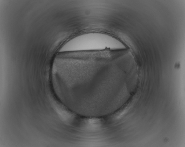 X0000092010501200709271532