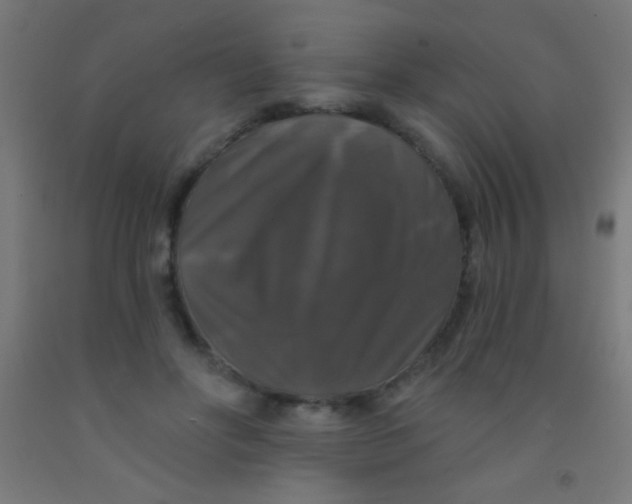 X0000092010502200709271532