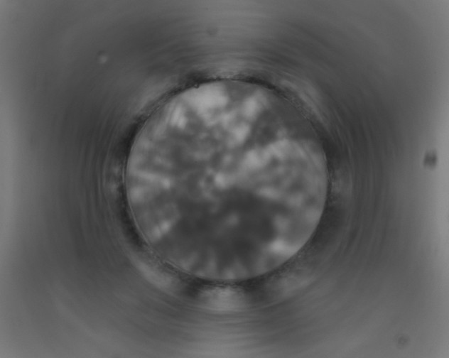 X0000092010503200709271532