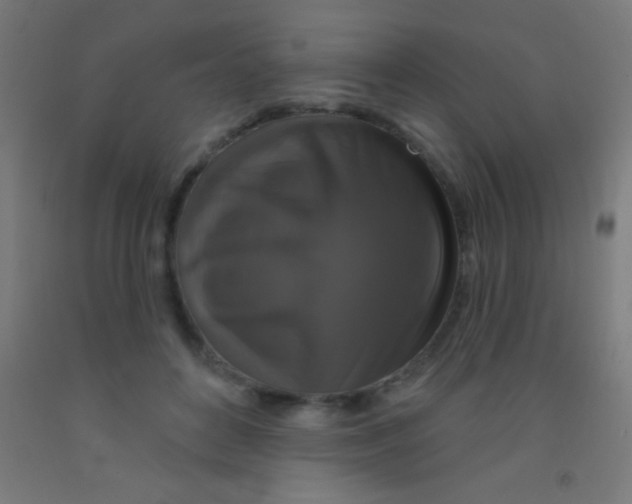 X0000092010504200709271532