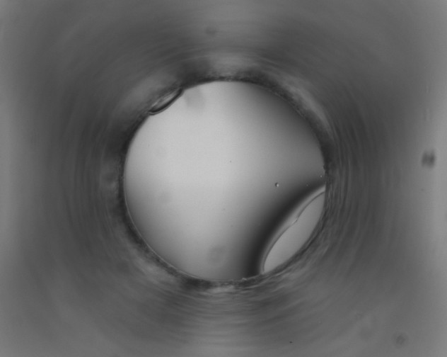 X0000092010505200709271532