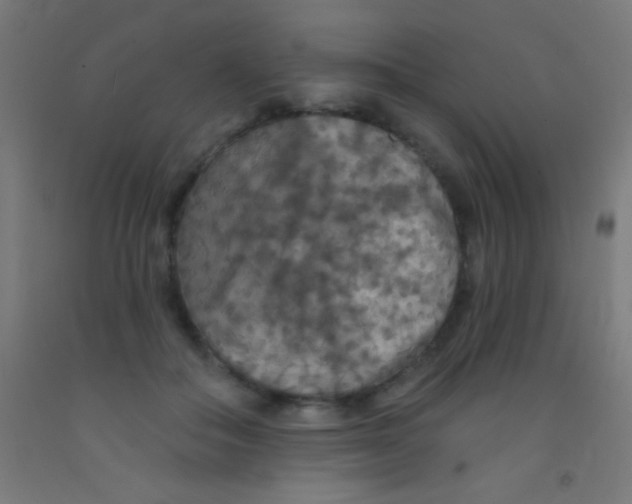 X0000092010506200709271532