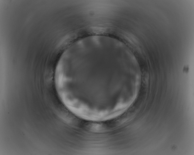 X0000092010507200709271532