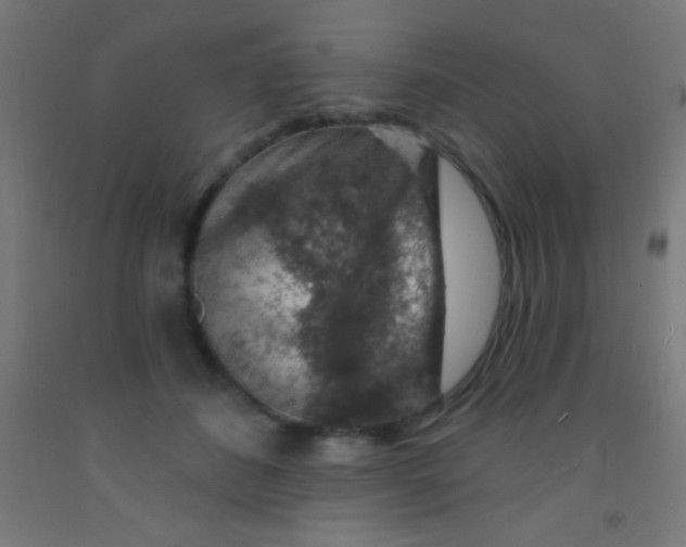 X0000092010508200709271532