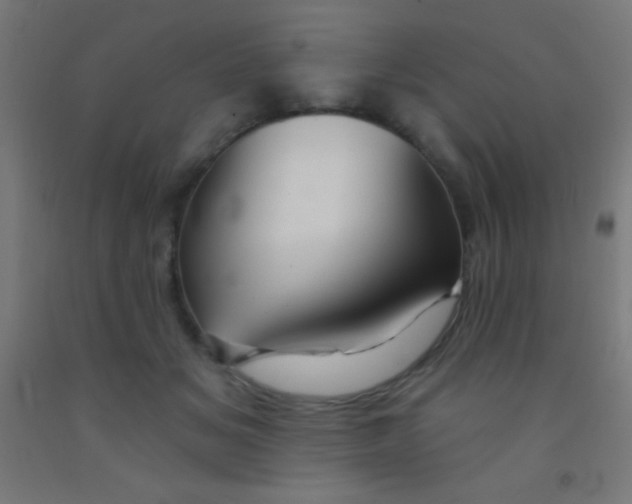 X0000092010509200709271532