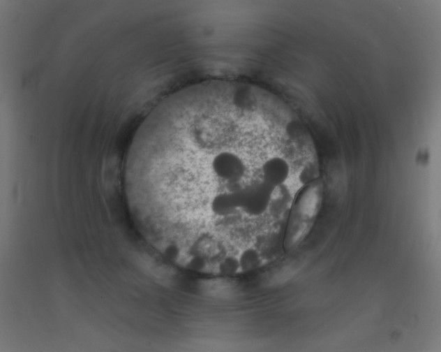 X0000092010511200709271532