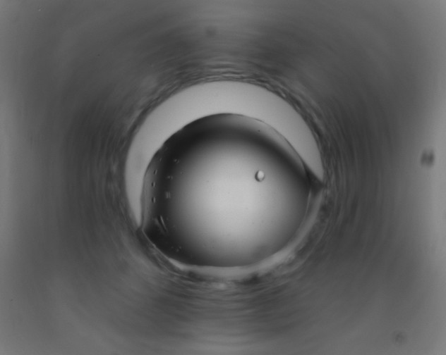 X0000092010512200709271532