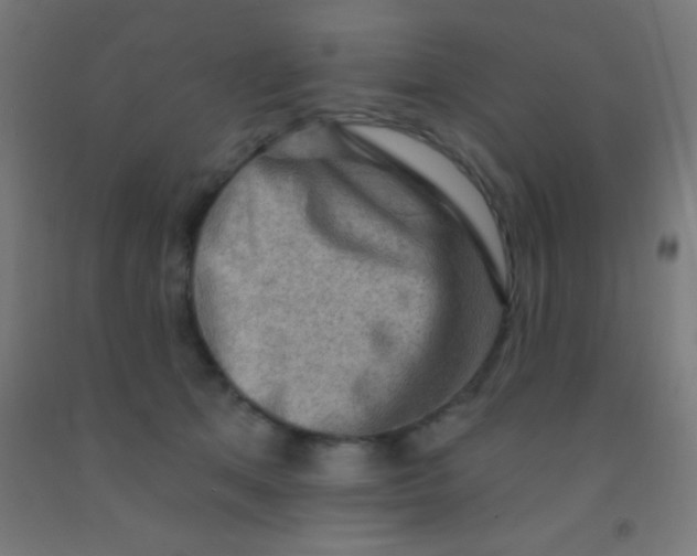 X0000092010513200709271532