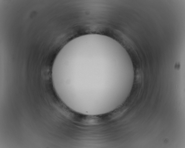 X0000092010514200709271532