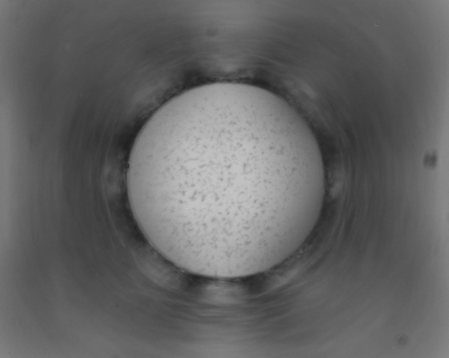 X0000092010515200709271532