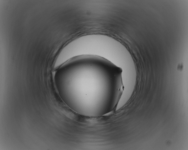 X0000092010516200709271532