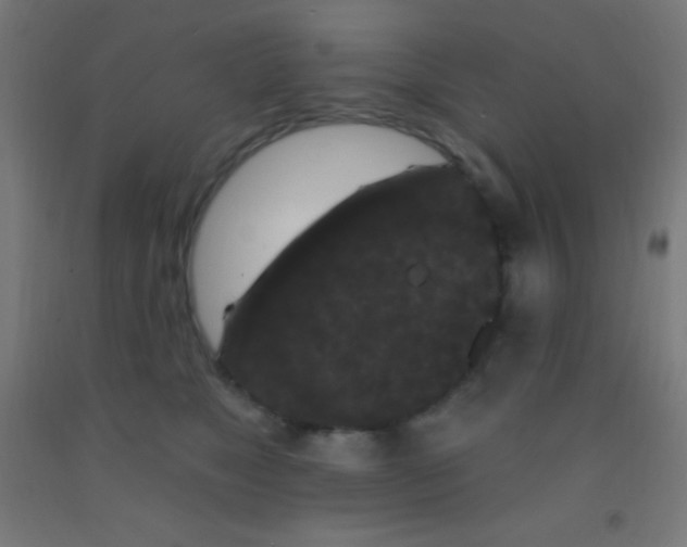 X0000092010517200709271532