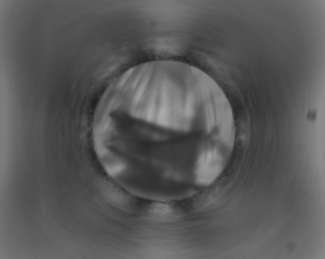 X0000092010519200709271532