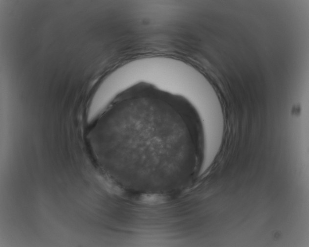 X0000092010520200709271532