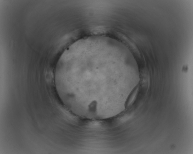 X0000092010523200709271532