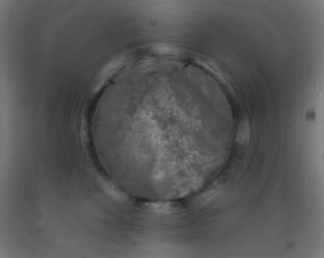 X0000092010524200709271532