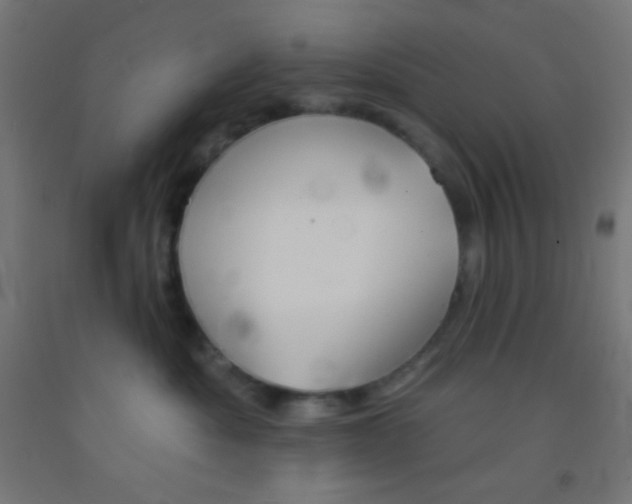 X0000092010525200709271532