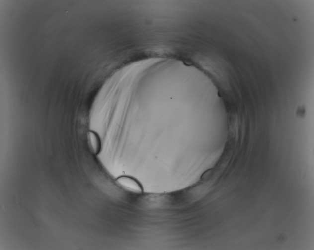 X0000092010526200709271532